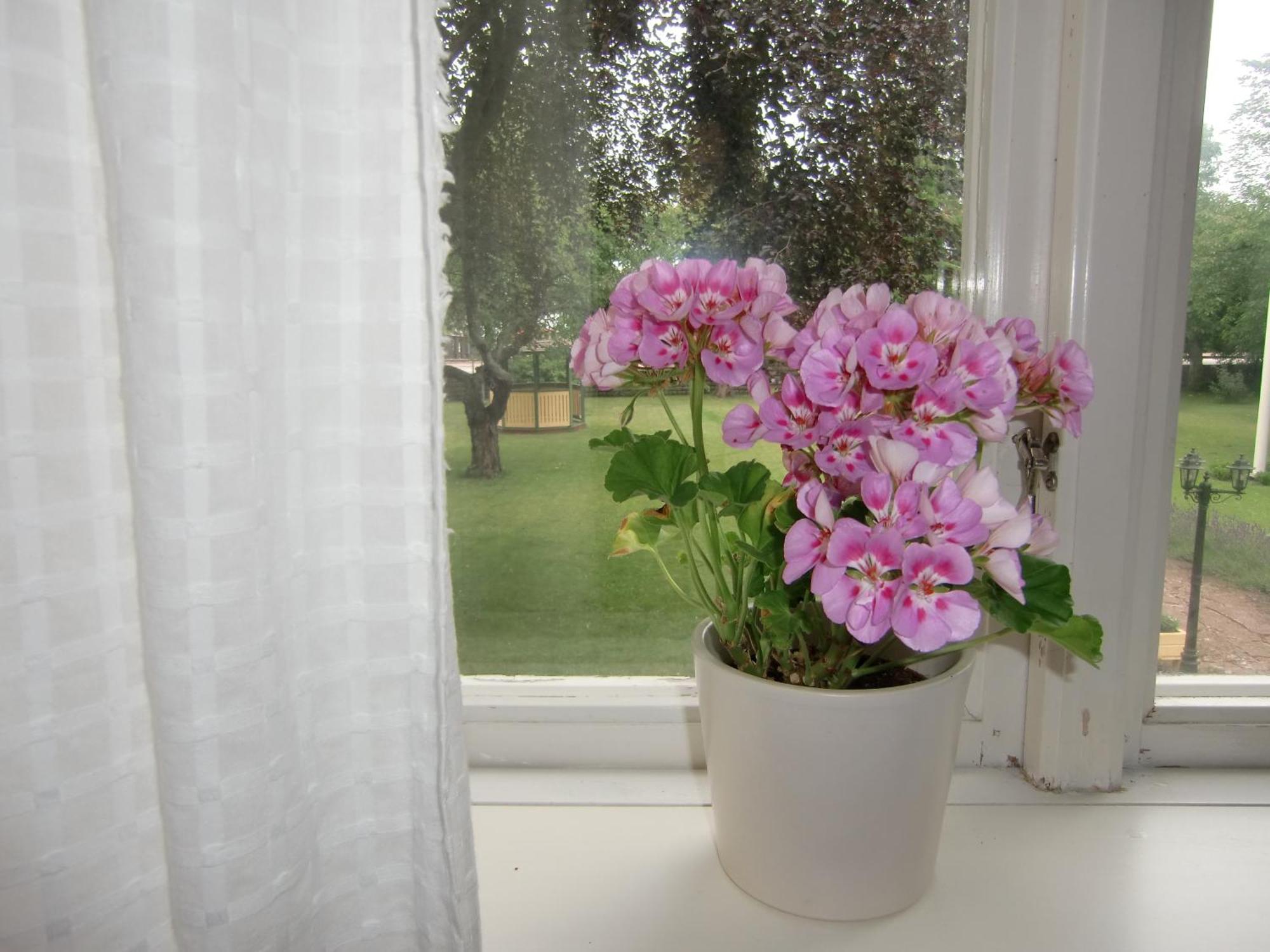 Hagaborg Bed&Breakfast Köpingsvik Eksteriør billede
