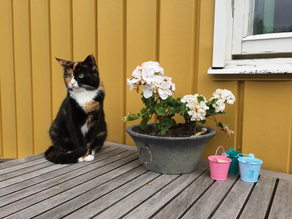 Hagaborg Bed&Breakfast Köpingsvik Eksteriør billede